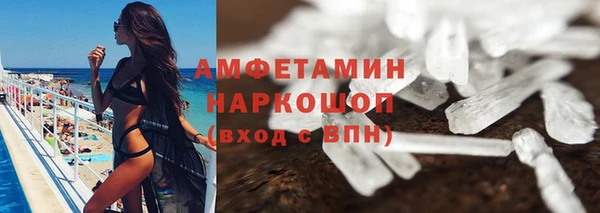 стаф Богданович