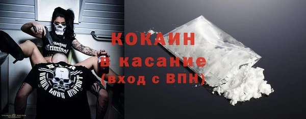 стаф Богданович