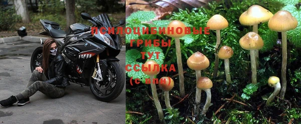 кокаин VHQ Белокуриха