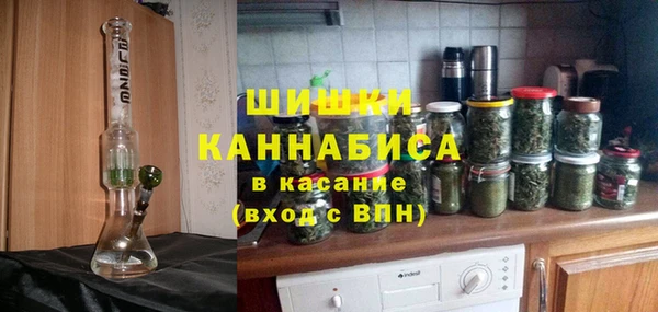 стаф Богданович