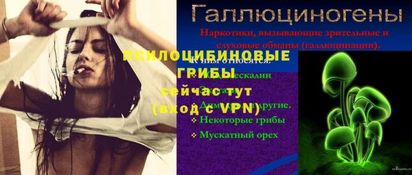 ПСИЛОЦИБИНОВЫЕ ГРИБЫ Богородицк