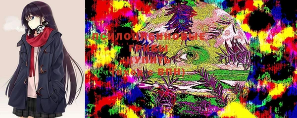 ПСИЛОЦИБИНОВЫЕ ГРИБЫ Богородицк