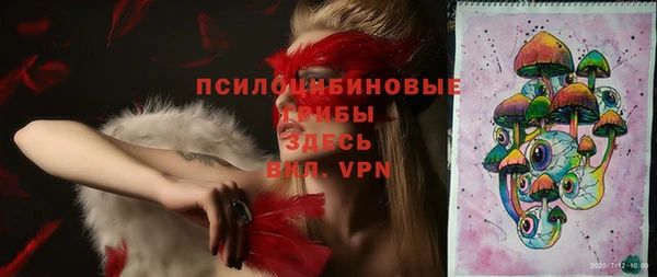 ПСИЛОЦИБИНОВЫЕ ГРИБЫ Богородицк