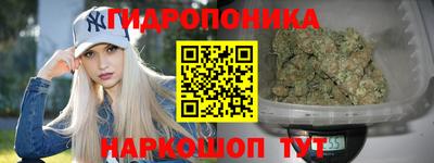 прущие грибы Ставрополь