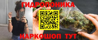 прущие грибы Ставрополь